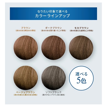 注目の LPLP(ルプルプ) カラートリートメント オリジナル LPLP / カラーリング・白髪染め
