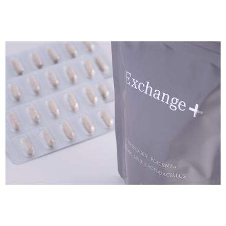 Exchange＋（エクスチェンジプラス）*2-