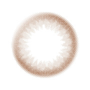 G[WVA[uE/G[W iʐ^