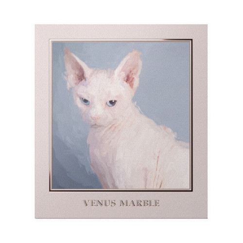 ヴィーナスマーブルキャットシリーズアイシャドウパレット スフィンクス / VENUS MARBLE(ヴィーナスマーブル) 商品写真 2枚目