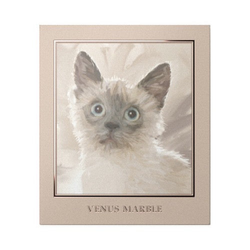 ヴィーナスマーブルキャットシリーズアイシャドウパレット シャム猫 / VENUS MARBLE(ヴィーナスマーブル) 商品写真 2枚目