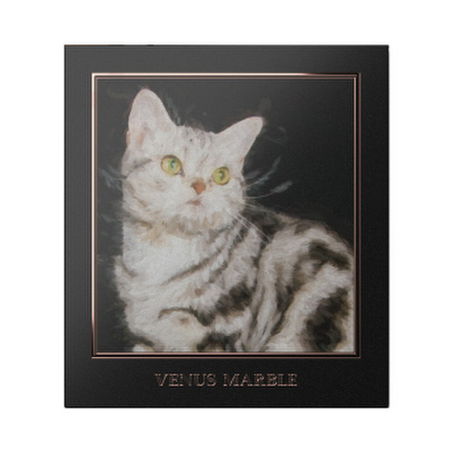ヴィーナスマーブルキャットシリーズアイシャドウパレット アメリカンショートヘア / VENUS MARBLE(ヴィーナスマーブル) 商品写真 2枚目
