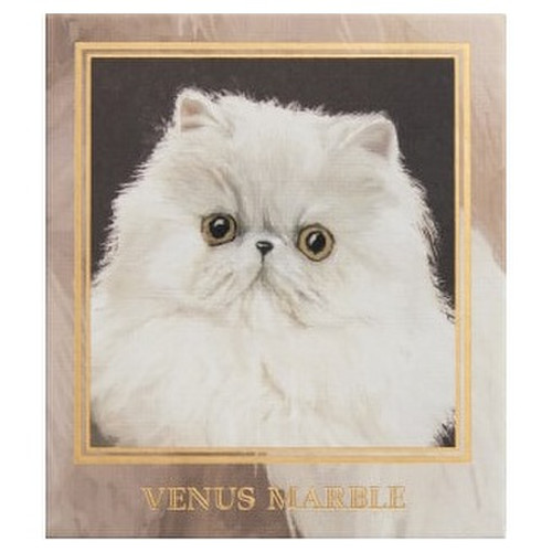 ヴィーナスマーブルキャットシリーズアイシャドウパレット ペルシャ猫 / VENUS MARBLE(ヴィーナスマーブル) 商品写真 2枚目