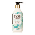 ROSE DE PROVINS [YGbZX{fB[V/ON THE BODY iʐ^
