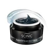 ANAEX ubN[[N[/SCINIC iʐ^