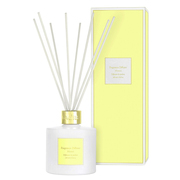 tOXfBt[U[ mC200ml/Laline() iʐ^
