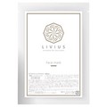 LIVIUS tFCX}XN/LIVIUS iʐ^