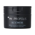 Mr. PROPOLIS I[CWF/AsZs[RXeBNX iʐ^