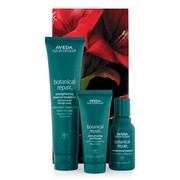 {^jJ yA wAPA Mtg/AVEDA(AF_) iʐ^