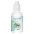 SAIKAU silica(ÉԉJVJ)/z iʐ^