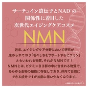 NMNGbZX[V/ACEv_Nc iʐ^