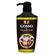 GOSSO de SHAMPOO Sb\EfEVv[/fnrrniSb\j iʐ^