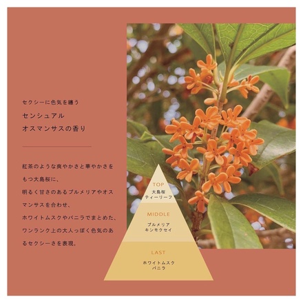 GYDA Product by ReCate / GYDA カラーダメージケア リペア