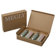 MEGLY Starter Kit s[g{bNX/MEGLY iʐ^