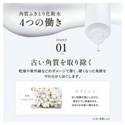 iCZX WFg XL NA[V/NINE SENSE PHYTOLIFT iʐ^