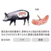 ؃vZ^/unito iʐ^