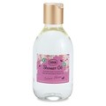 V[IC u[~O/SABON(T{) iʐ^