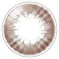 VVA2EB[N S NVF/VVAS iʐ^