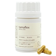 tamaflex/i&X}C iʐ^