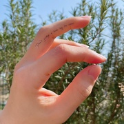 ^gD[V[Finger message/irodore iʐ^