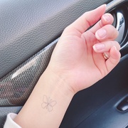 ^gD[V[Finger simple butterfly/irodore iʐ^