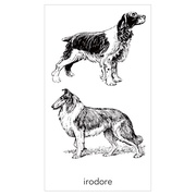 ^gD[V[삯ĂĂꂽB/irodore iʐ^