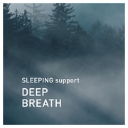 SLEEPING support fB[vuX s[&GA~Xg/aroma (AbgA}) iʐ^