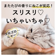nhN[/˂ iʐ^
