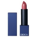 PLUMPING LIPSTICK/DIDION iʐ^