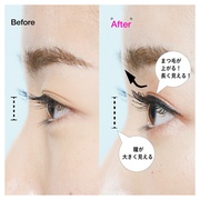 SEN FLUID JET BLACK/Eyelist iʐ^