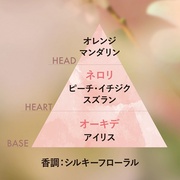 lI[Lf nhN[/NV^ iʐ^