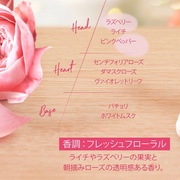 [Y WF[tOX/NV^ iʐ^