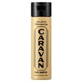MILD SHAMPOO/CARAVAN iʐ^
