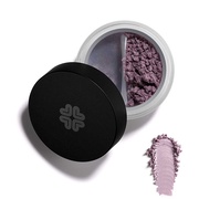 ~lACVhEParma Violetip} oCIbgj/Lily Loloi[j iʐ^