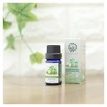 GbZVIC xKbg/UTAMA SPICE iʐ^