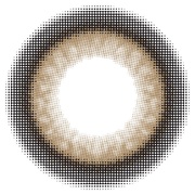 xCr[eRxCr[[v/XEB[g iʐ^