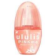 EX@sN~[@ubTeB[@wAIC/ululis iʐ^