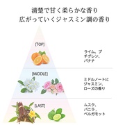 pt[CGbZXSPRING/Winnow iʐ^