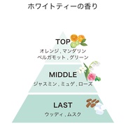 track Fabric mist No.1 White tea/track(gbN) iʐ^