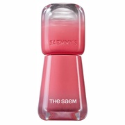 Z~[YGChVbvVbgeBg03C`J~[/the SAEM iʐ^