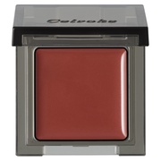 CtBjg[ J[ N05 Brick Red / ubNbh/Celvoke iʐ^