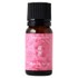 tOXIC Seasons of Japan KN/Heavenly Aroom(wu[A[)