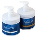 BiRes CBD NANO with kVv[wAg[gg/BiRes CBD iʐ^