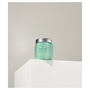 plu Perfumed Fruity Sugar Body Scrub Green Mong Cotton/plu iʐ^