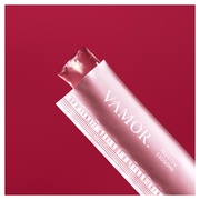 Moisten Exosome/VAMOR. iʐ^