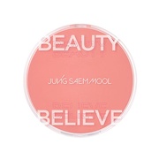 ARTIST CUSHION BLUSH/JUNGSAEMMOOL iʐ^