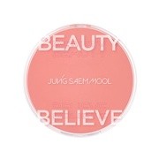 ARTIST CUSHION BLUSH/JUNGSAEMMOOL iʐ^