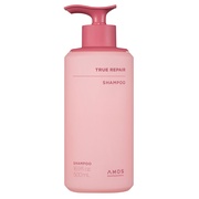 gD[yA Vv[^g[ggVv[ 500ml/amos PROFESSIONAL iʐ^