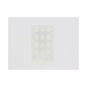 lCXL[tB/Decorative Nail(fReBu lC) iʐ^