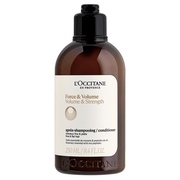{[XgOX Vv[^RfBVi[RfBVi[ 250mL/NV^ iʐ^